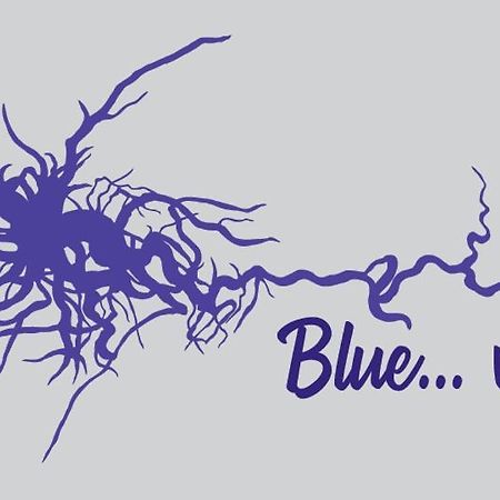 Blue...Violet Apartment Nafplio Bagian luar foto
